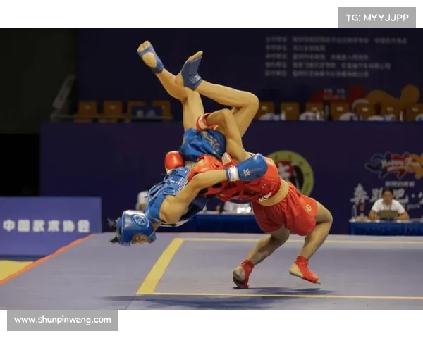 武术最高赛事(中国武术比赛排名)