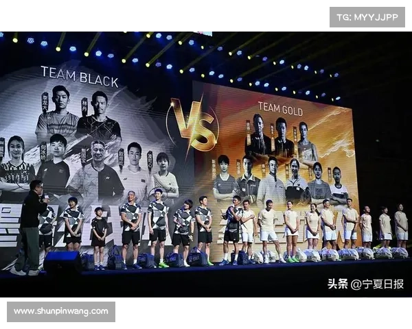 网球职业赛事巅峰对决：巨星云集全球赛场竞逐荣耀