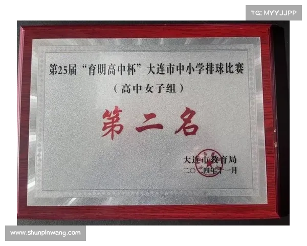 排球赛事名称,排球联赛名称