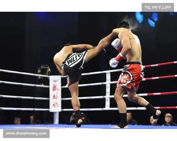 武林风ufc赛事,武林风UFC国际综合格斗冠军赛盛大开启传承中华武术精髓融合现代竞技精神