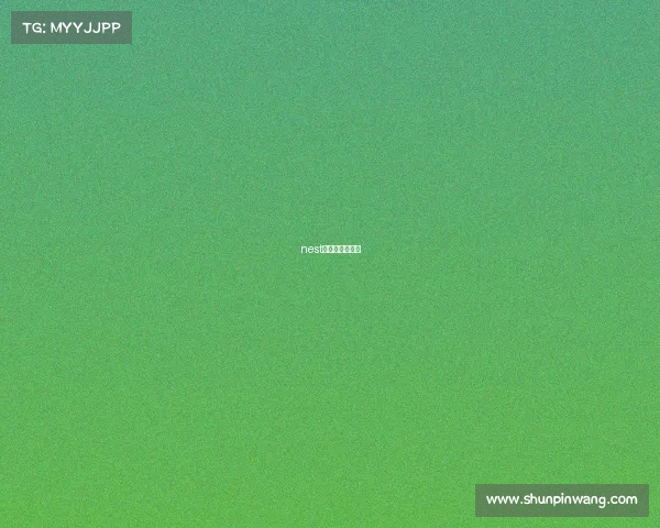 nest电子竞技自行车